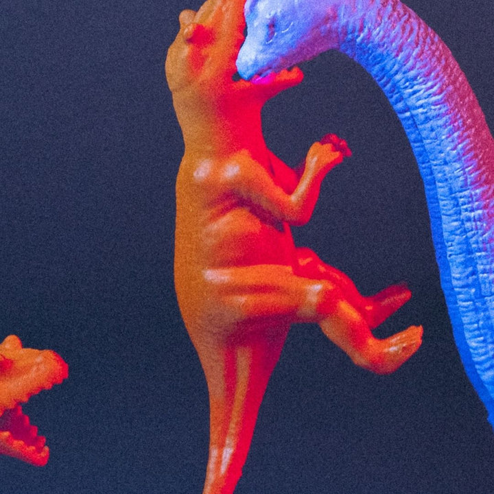 Don't interrupt me!!! Print