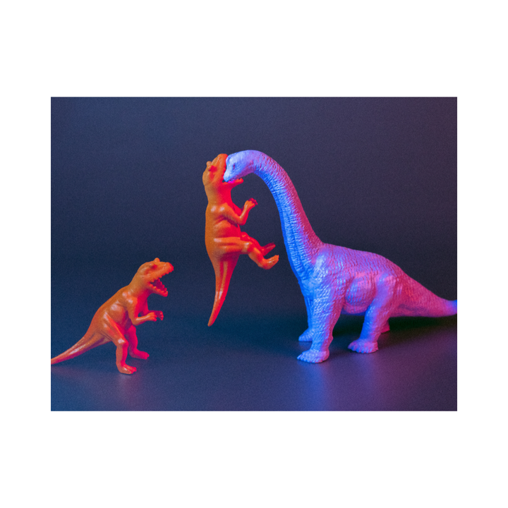 Don't interrupt me!!! Print