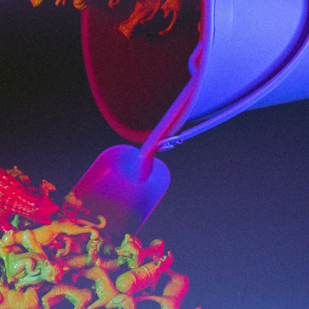 When you were little were you allowed to believe in dinosaurs? Print