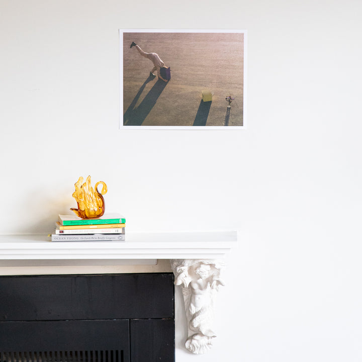 Searching 11x14 Print